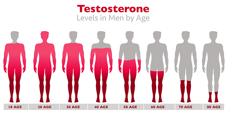 diagrams of testosterone levels dropping with age